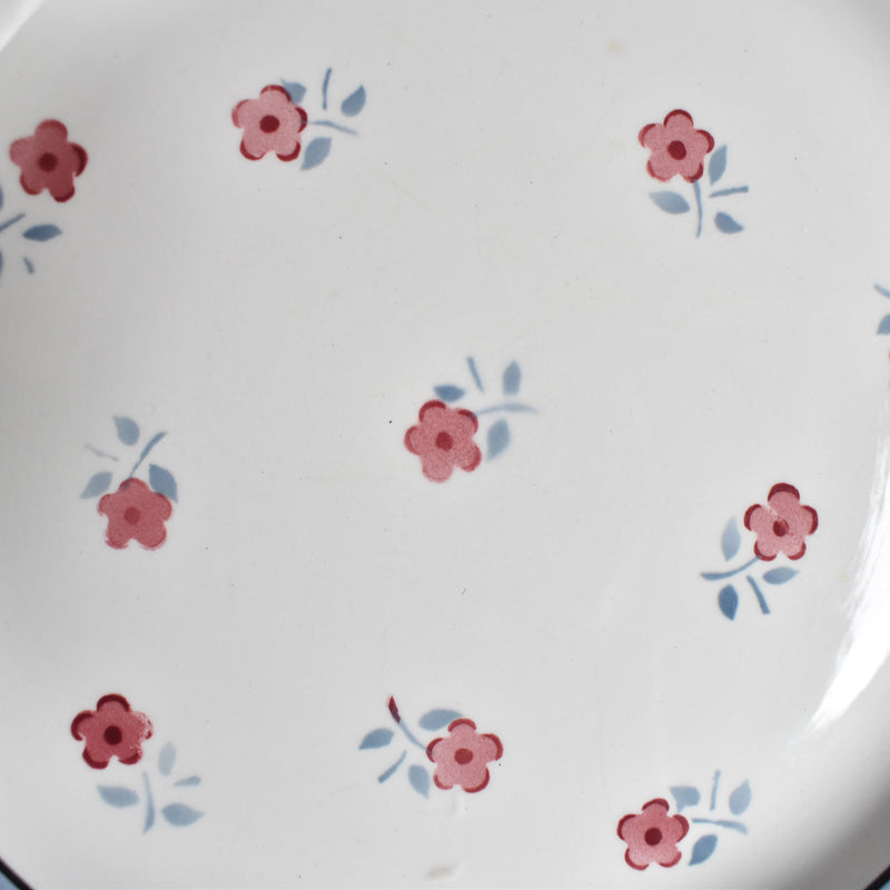 Vintage plate Digoin & Sarreguemines Aix A