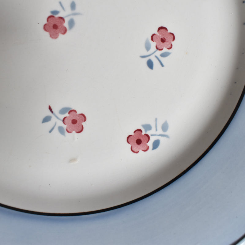 Vintage plate Digoin & Sarreguemines Aix A