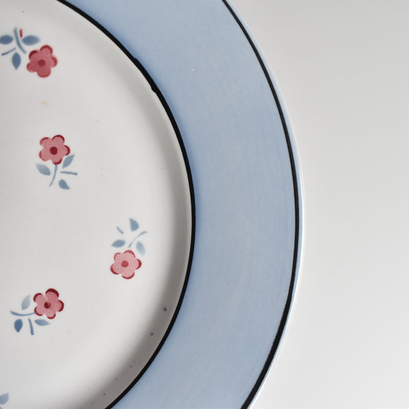 Vintage plate Digoin & Sarreguemines Aix A