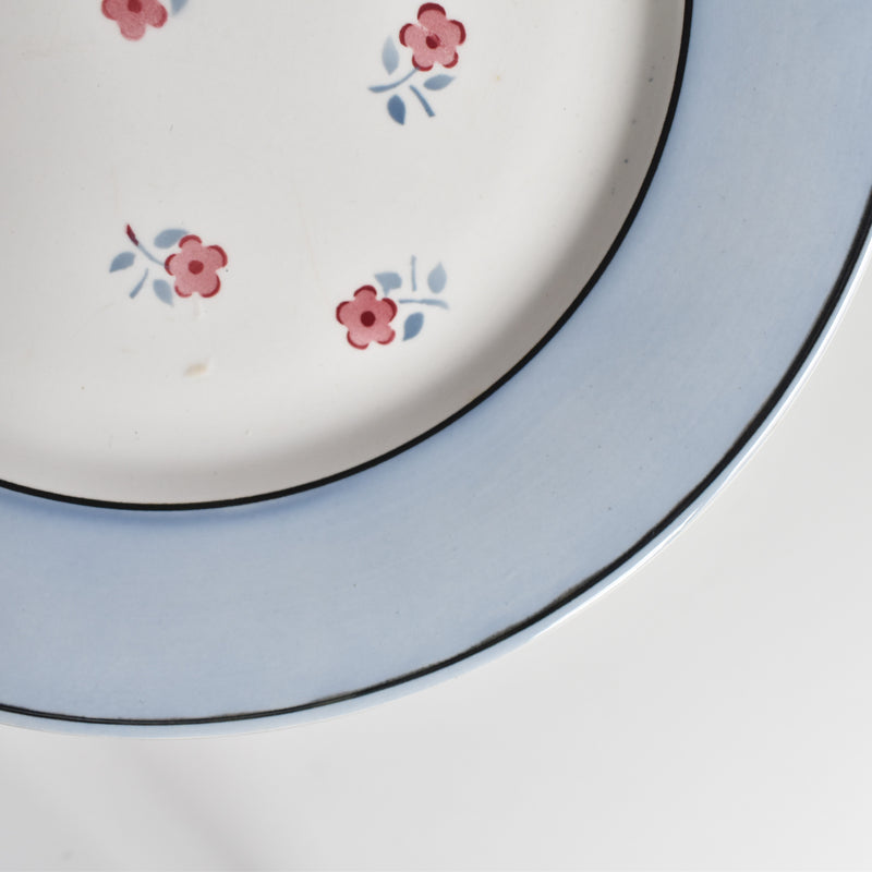 Vintage plate Digoin & Sarreguemines Aix A