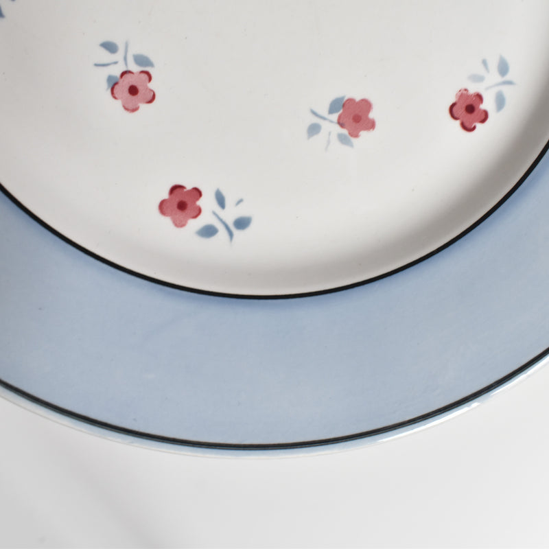 Vintage plate Digoin & Sarreguemines Aix A