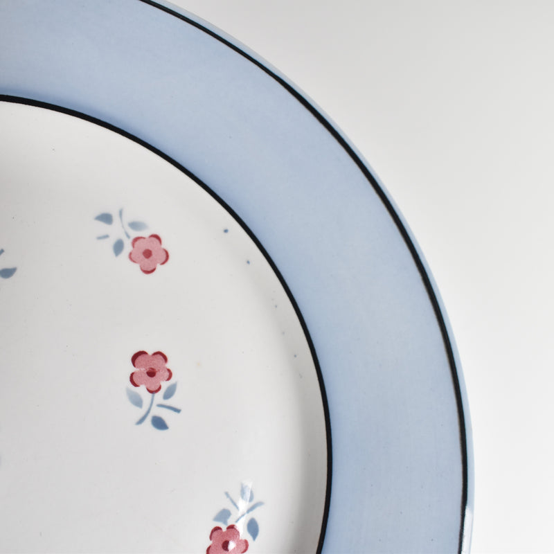 Vintage plate Digoin & Sarreguemines Aix A