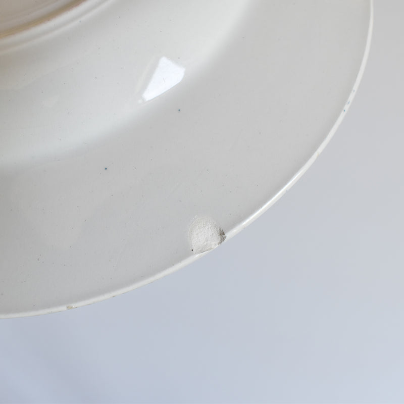 Antique Deep Plate, KG Luneville Passiflore A
