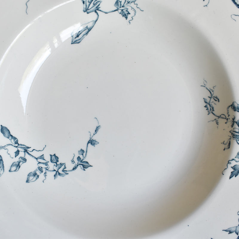 Antique Deep Plate, KG Luneville Passiflore A