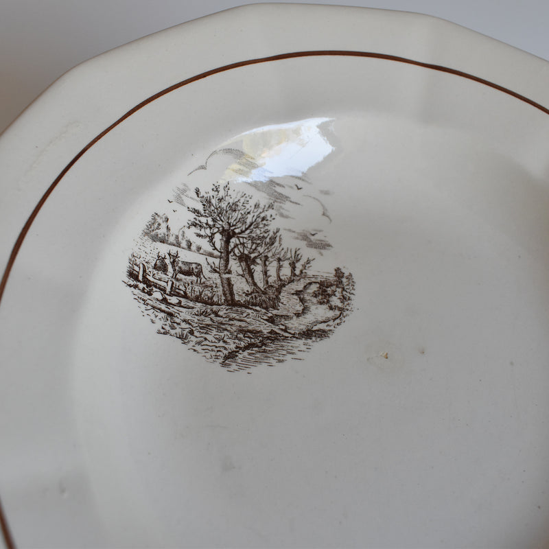 Vintage Deep Plate Digoin & Sarreguemines Calvados D