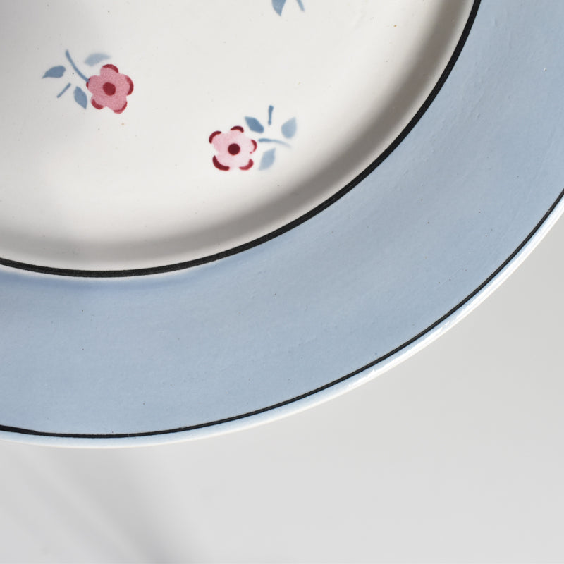Vintage Plate Digoin & Sarreguemines Aix B