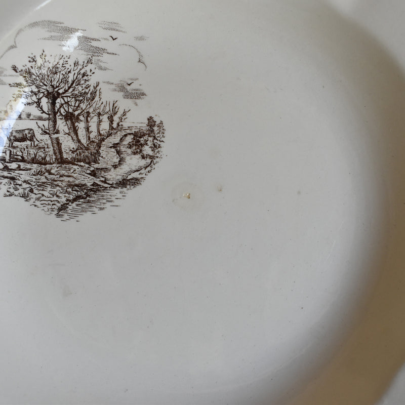 Vintage Deep Plate Digoin & Sarreguemines Calvados D