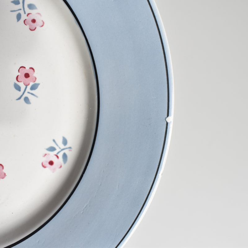 Vintage Plate Digoin & Sarreguemines Aix B