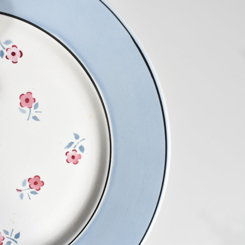 Vintage Plate Digoin & Sarreguemines Aix B