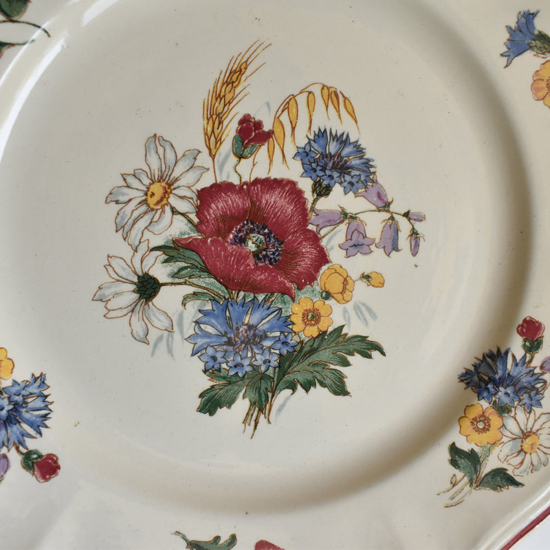 Vintage Plate 22.5cm Digoin & Sarreguemines Agreste A