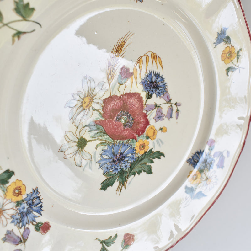 Vintage Plate 22.5cm Digoin & Sarreguemines Agreste A