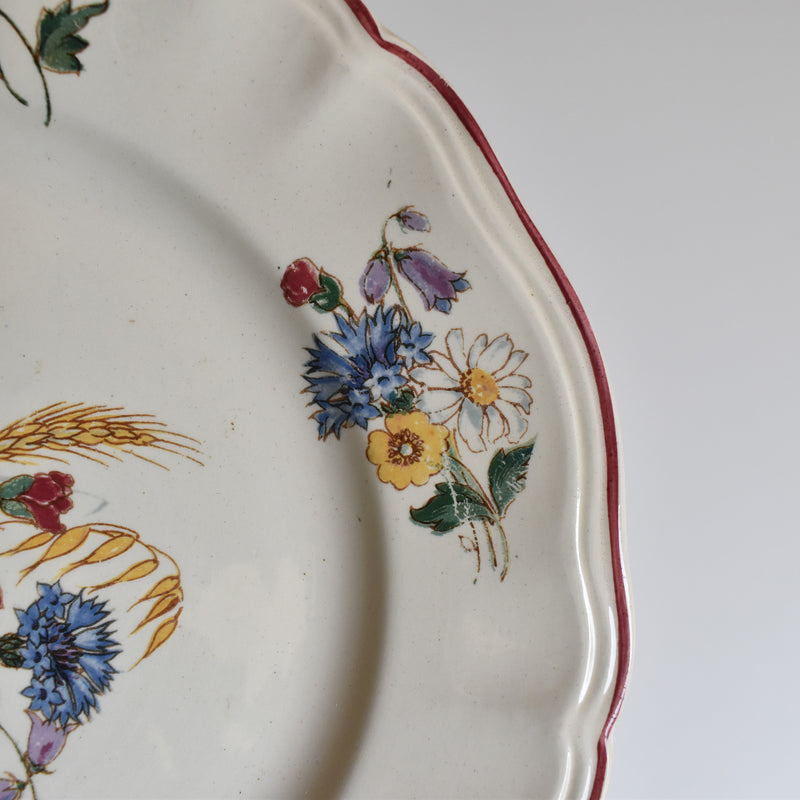 Vintage Plate 22.5cm Digoin & Sarreguemines Agreste A