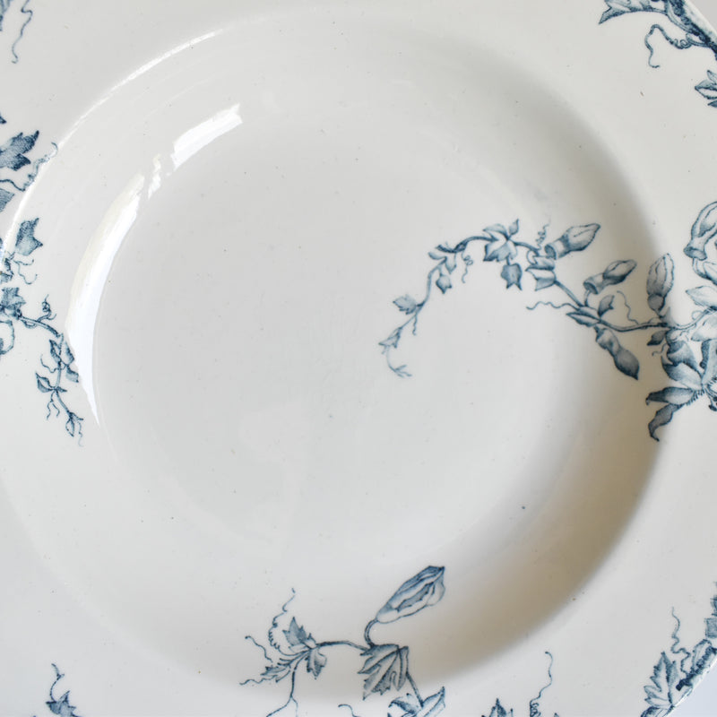Antique Deep Plate KG Luneville Passiflore B