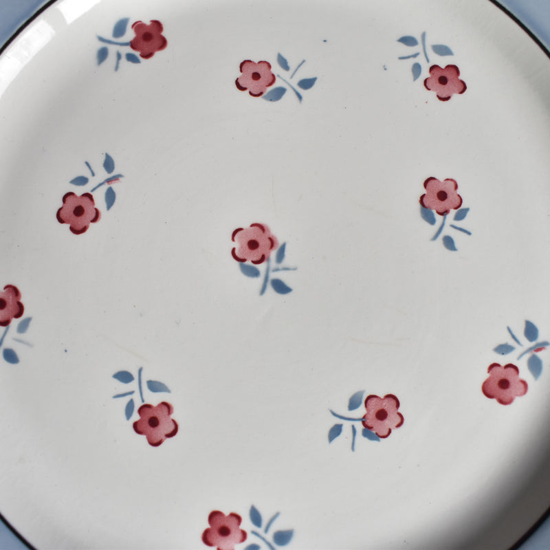 Vintage Plate Digoin & Sarreguemines Aix C