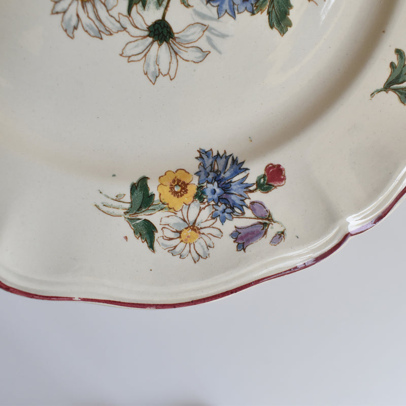 Vintage Plate 22.5cm Digoin & Sarreguemines Agreste A