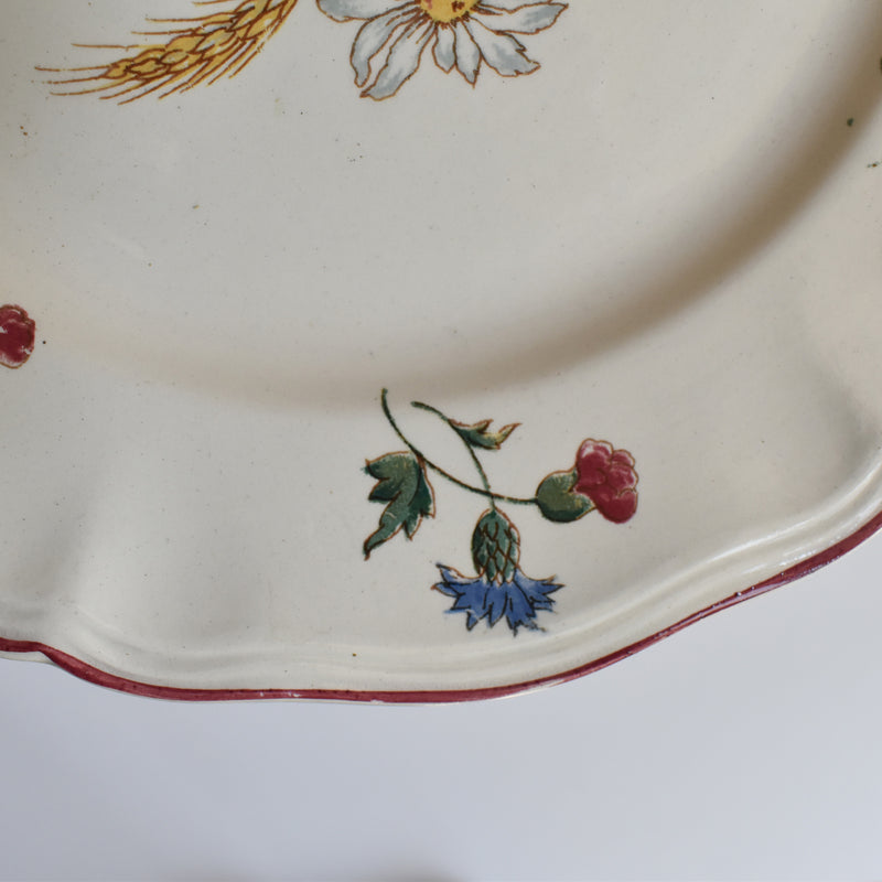 Vintage Plate 22.5cm Digoin & Sarreguemines Agreste A
