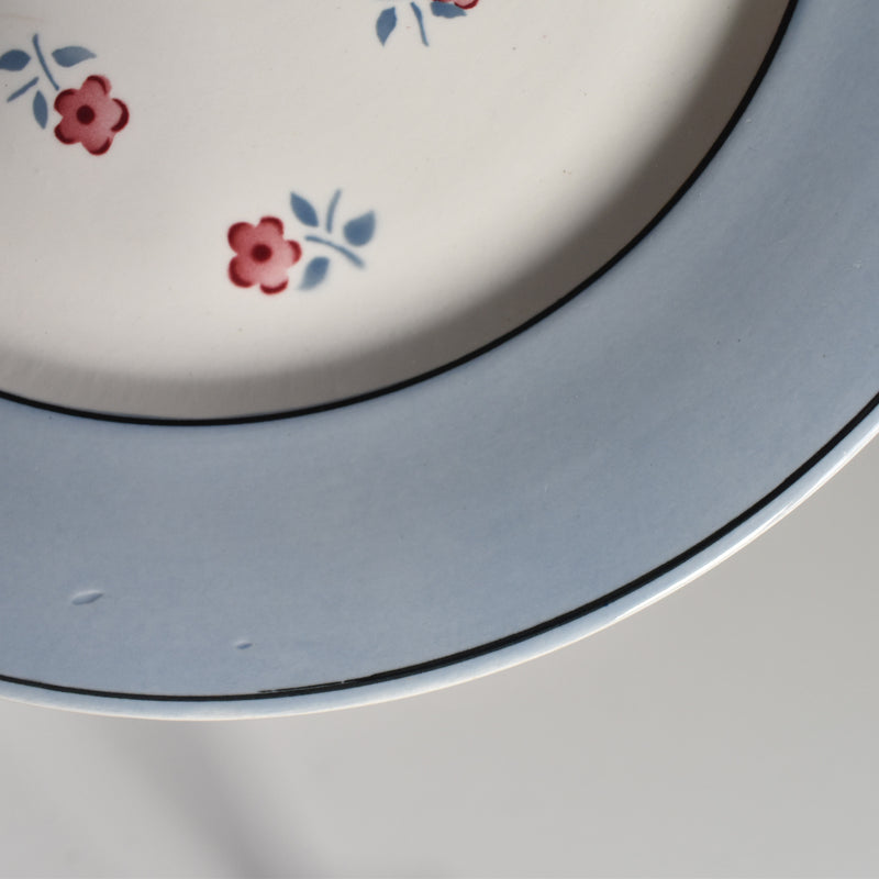 Vintage Plate Digoin & Sarreguemines Aix C