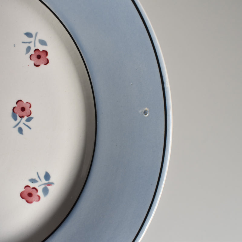 Vintage Plate Digoin & Sarreguemines Aix C