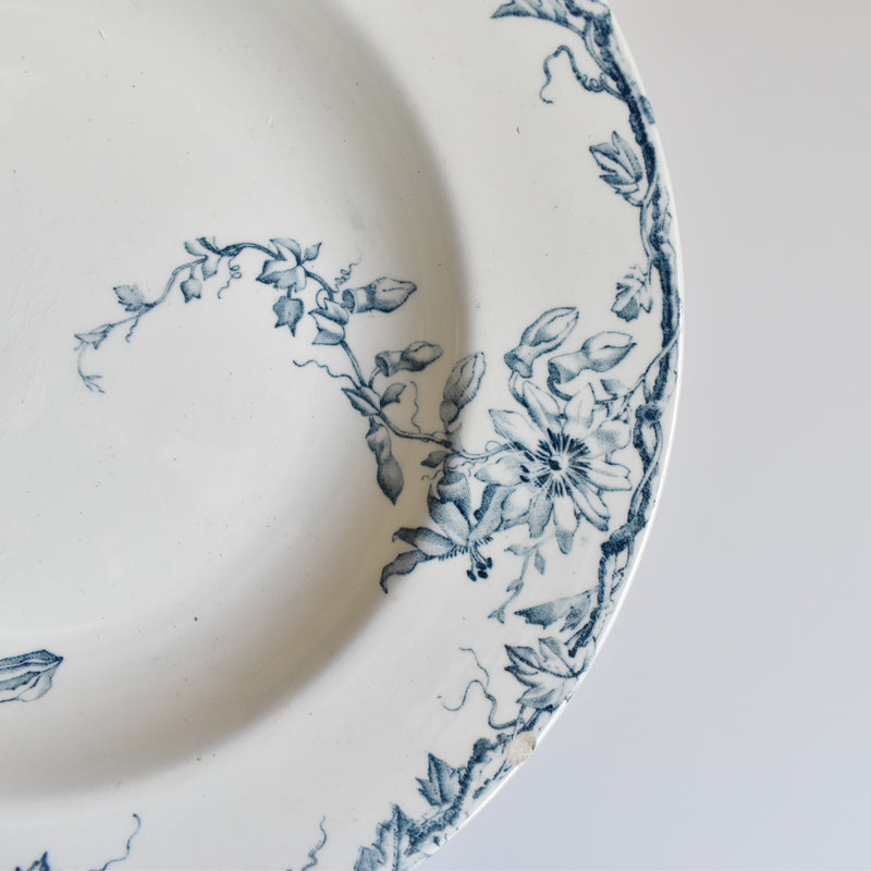 Antique Deep Plate KG Luneville Passiflore B