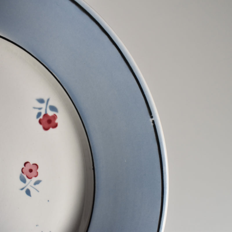Vintage Plate Digoin & Sarreguemines Aix C