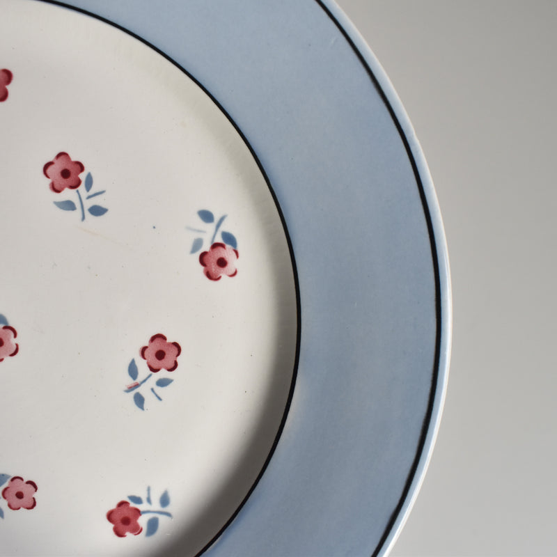 Vintage Plate Digoin & Sarreguemines Aix C