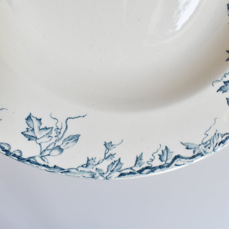 Antique Deep Plate KG Luneville Passiflore B