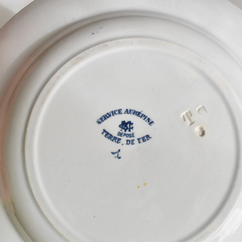 Antique Deep Plate, Creil et Montereau, Aubépine