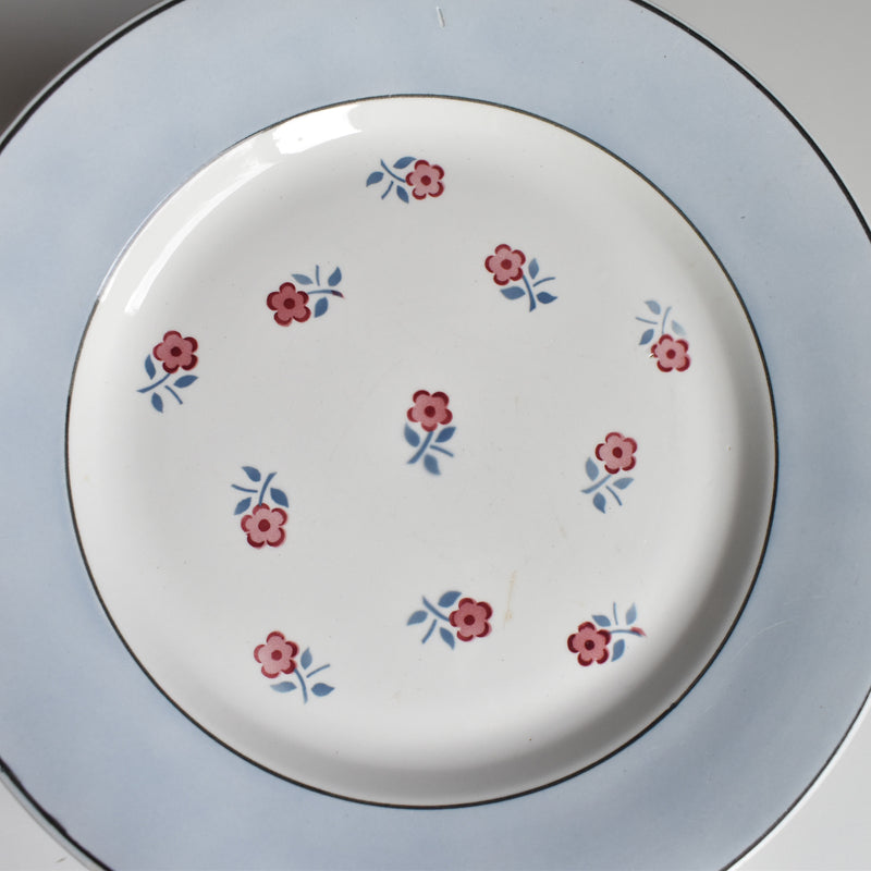 Vintage Plate Digoin & Sarreguemines Aix D