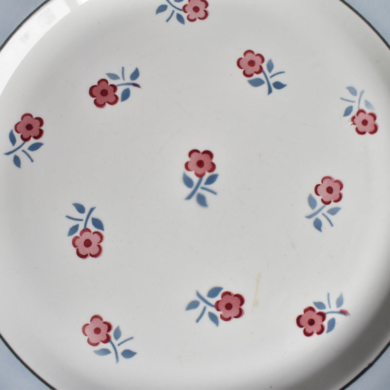Vintage Plate Digoin & Sarreguemines Aix D