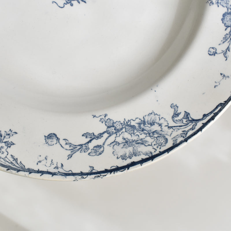 Antique Deep Plate, Creil et Montereau, Aubépine