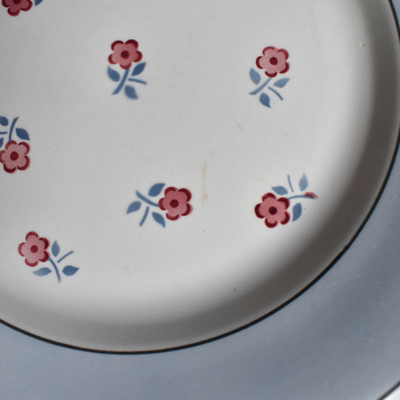 Vintage Plate Digoin & Sarreguemines Aix D