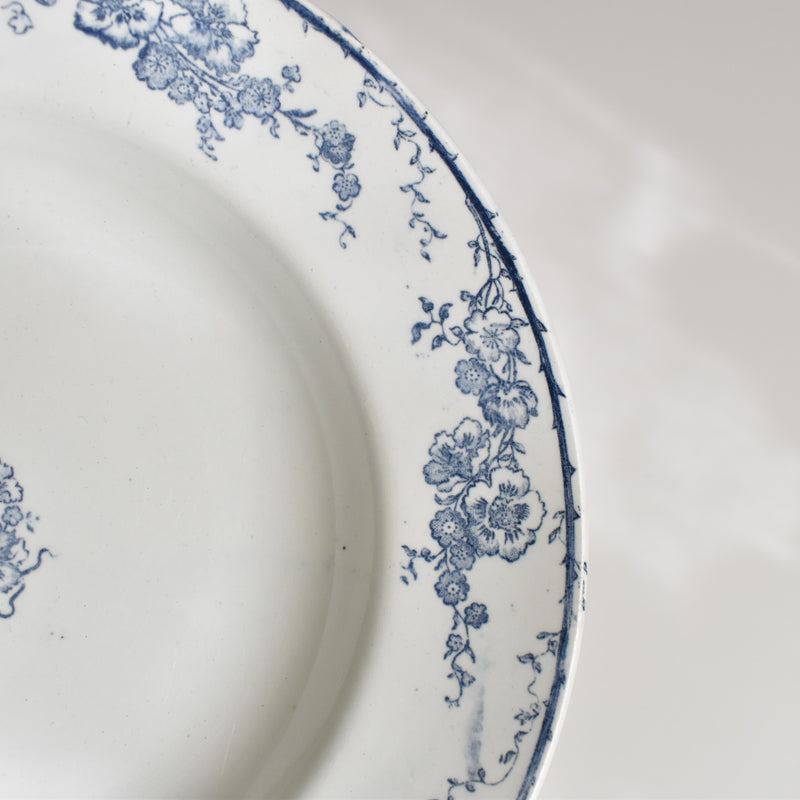 Antique Deep Plate, Creil et Montereau, Aubépine