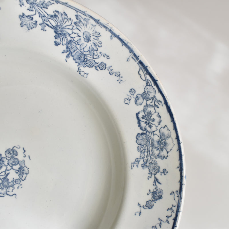 Antique Deep Plate, Creil et Montereau, Aubépine