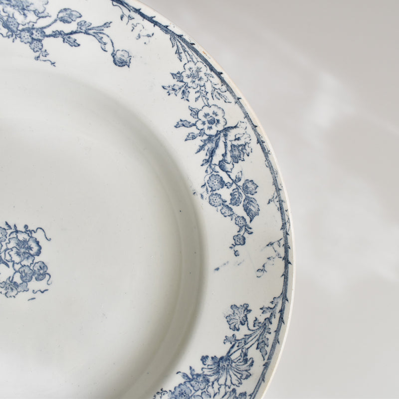 Antique Deep Plate, Creil et Montereau, Aubépine