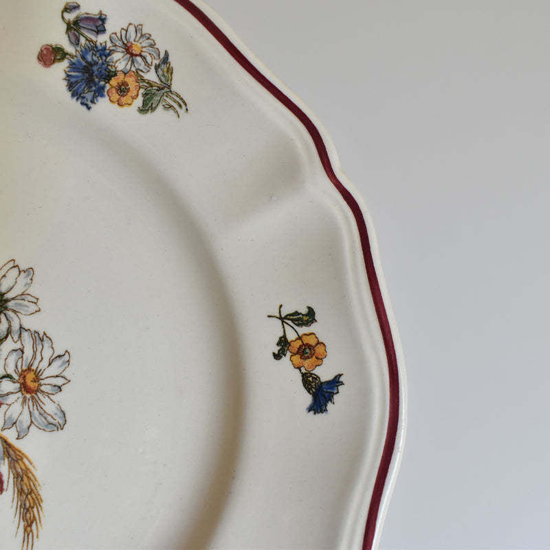 Vintage Dessert Plate, Digoin & Sarreguemines "Agreste," 21cm, A
