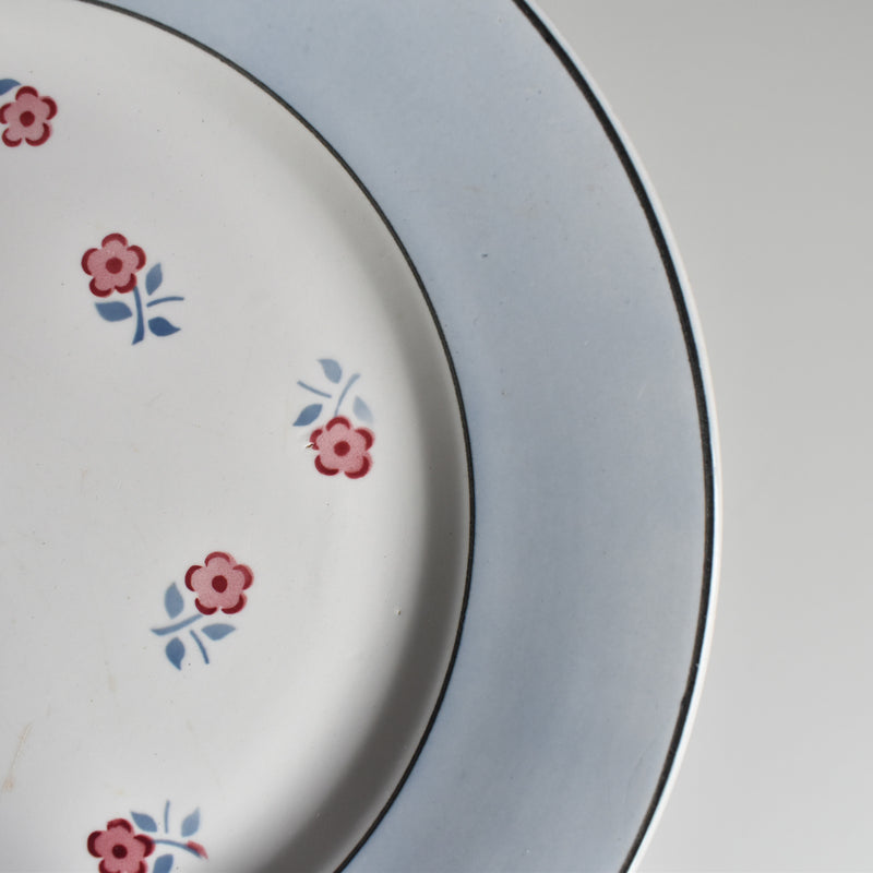 Vintage Plate Digoin & Sarreguemines Aix D