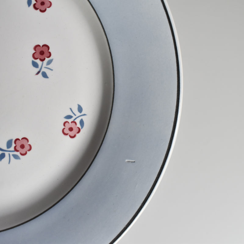 Vintage Plate Digoin & Sarreguemines Aix D