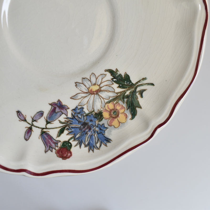 Vintage Chocolate Cup & Saucer Digoin & Sarreguemines Agreste