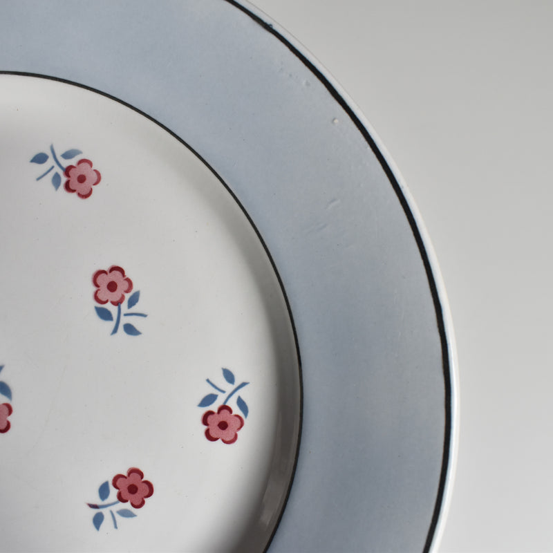 Vintage Plate Digoin & Sarreguemines Aix D