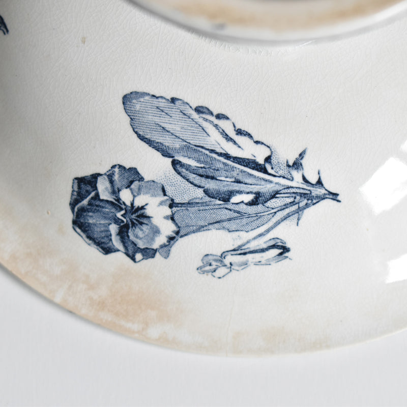 Antique Compote Dish, U&C Sarreguemines, Stella