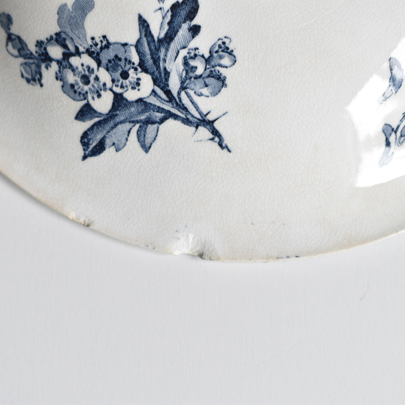 Antique Compote Dish, U&C Sarreguemines, Stella