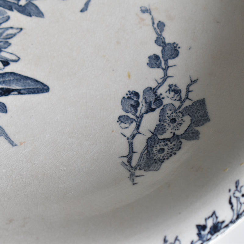 Antique Compote Dish, U&C Sarreguemines, Stella