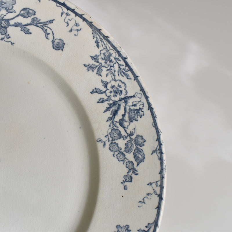 Antique plate Creil et Montereau Aubépine A