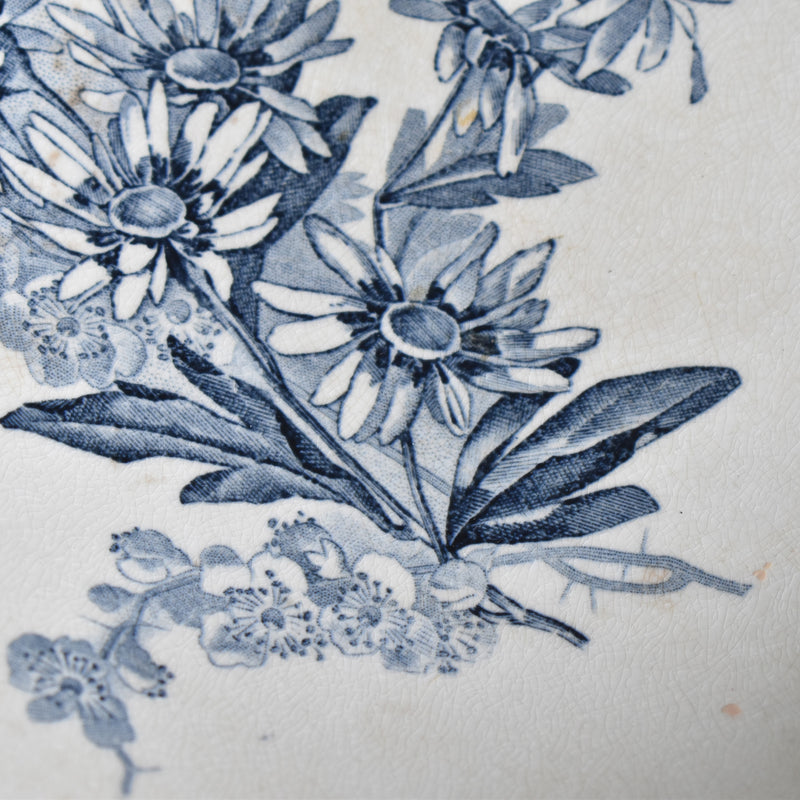 Antique Compote Dish, U&C Sarreguemines, Stella
