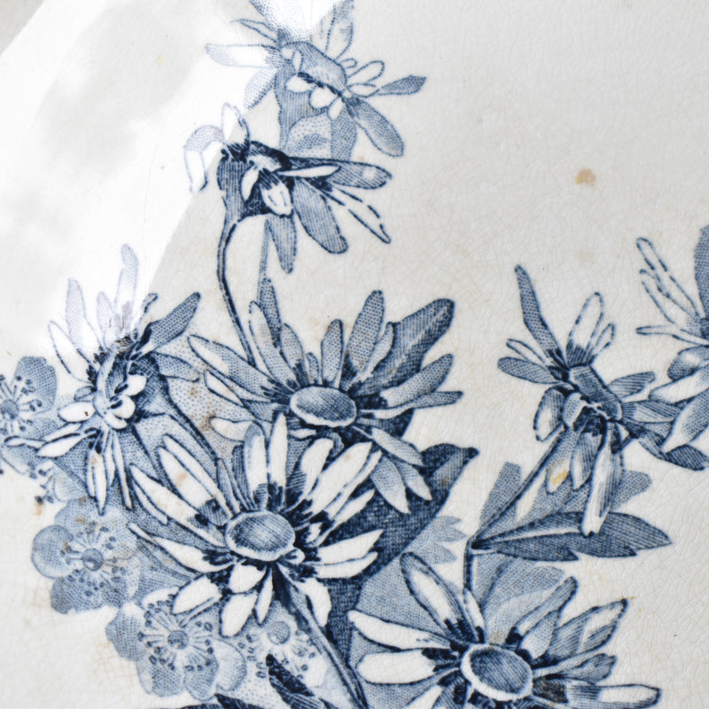 Antique Compote Dish, U&C Sarreguemines, Stella