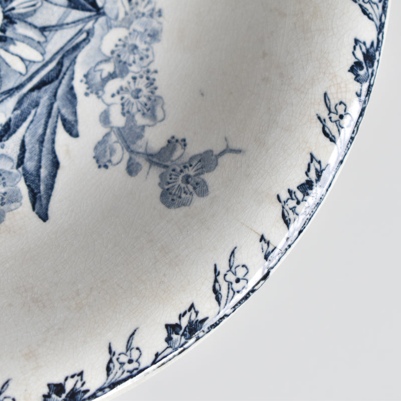 Antique Compote Dish, U&C Sarreguemines, Stella