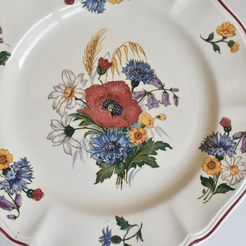 Vintage Dessert Plate Digoin & Sarreguemines Agreste 21cm B