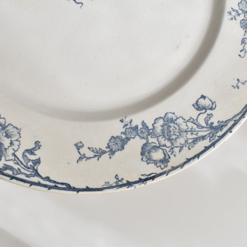 Antique plate Creil et Montereau Aubépine A