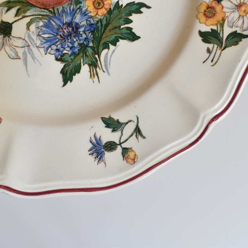 Vintage Dessert Plate Digoin & Sarreguemines Agreste 21cm B