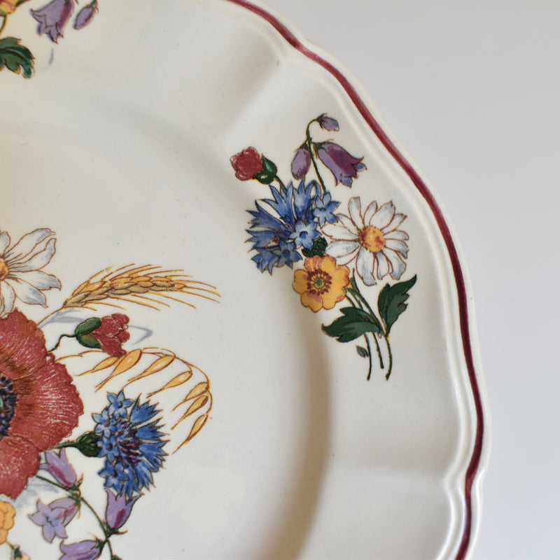 Vintage Dessert Plate Digoin & Sarreguemines Agreste 21cm B